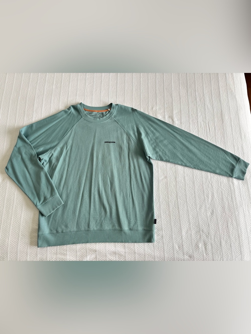 Patagonia Men's Crewneck Heavyweight Long sleeve shirt in Seafoam